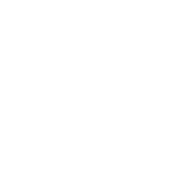 Figure1